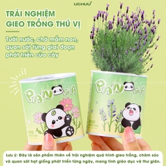 Kit Hạt Giống