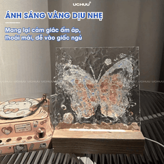Tranh Đèn Bướm Acrylic