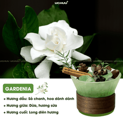 Lọ Khuếch Tán Tinh Dầu