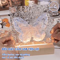 Tranh Đèn Bướm Acrylic
