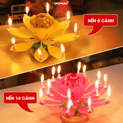 Nến Sinh Nhật Hoa Sen
