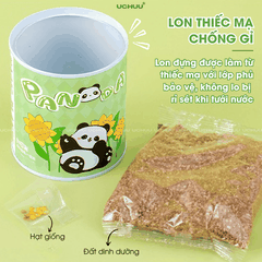 Kit Hạt Giống