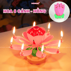 Nến Sinh Nhật Hoa Sen