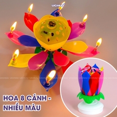 Nến Sinh Nhật Hoa Sen
