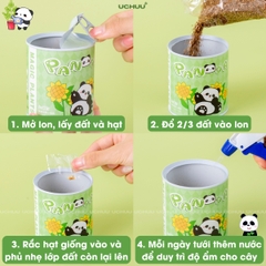 Kit Hạt Giống