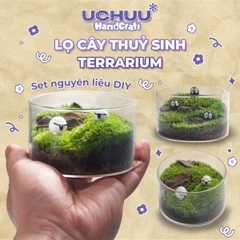 Lọ Cây Thuỷ Sinh Terrarium