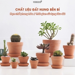 Chậu Đất Nung