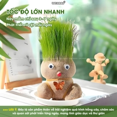 Búp Bê Đầu Cỏ