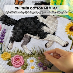 Khung Tranh Thêu Chữ Thập