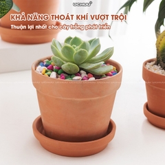 Chậu Đất Nung