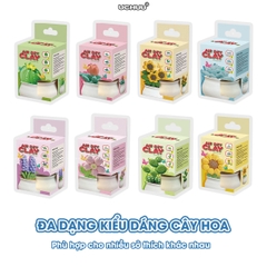 Kit Đất Sét Chậu Hoa