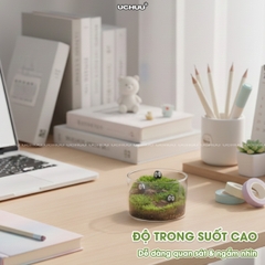 Lọ Cây Thuỷ Sinh Terrarium