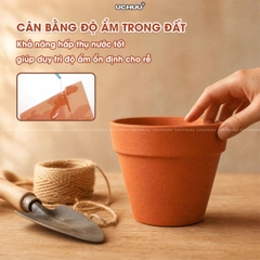 Chậu Đất Nung