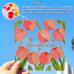 Bộ Màu Vẽ DIY