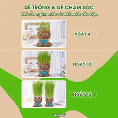 Búp Bê Đầu Cỏ