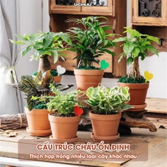 Chậu Đất Nung