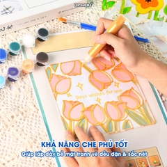 Bộ Màu Vẽ DIY