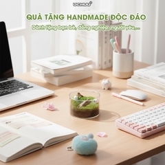 Lọ Cây Thuỷ Sinh Terrarium