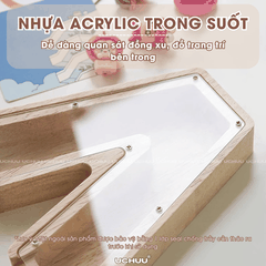 Hộp Chữ Cái Trưng Bày