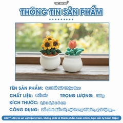 Kit Đất Sét Chậu Hoa