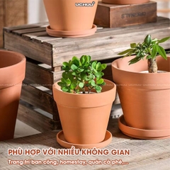 Chậu Đất Nung