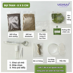 Lọ Cây Thuỷ Sinh Terrarium