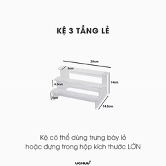 Hộp Trưng Bày Trong Suốt