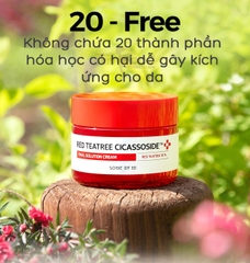 Kem Dưỡng Sáng Da Some By Mi Red Tea Tree Cicassoside Derma Solution Cream 60g