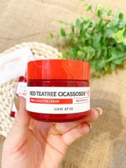 Kem Dưỡng Sáng Da Some By Mi Red Tea Tree Cicassoside Derma Solution Cream 60g