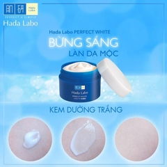 Kem Dưỡng Trắng Da Hada Labo Perfect White Cream 50g