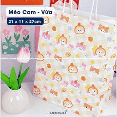 Túi Giấy Đựng Quà