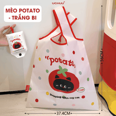 Túi xách gấp gọn