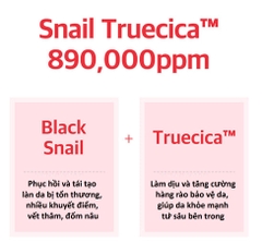 Serum Mini Phục Hồi, Mờ Thâm Some By Mi Snail Truecica Miracle Repair 5ml