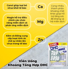 Viên Uống Khoáng Tổng Hợp DHC Multi Minerals Nhật Bản