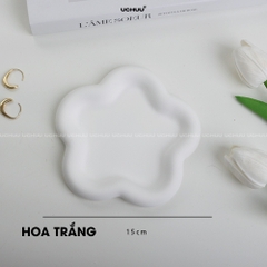 Khay thạch cao viền dày