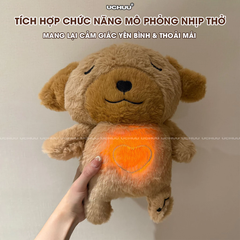 Gấu Bông Nhịp Thở