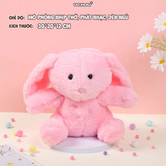 Gấu Bông Nhịp Thở