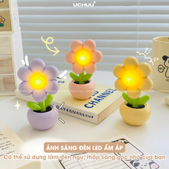 Đèn Hoa Mini