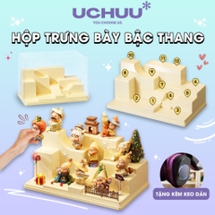 Hộp Trưng Bày Bậc Thang