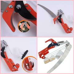 Đầu kéo cắt cành cây trên cao, hái quả, kết hợp cưa cành