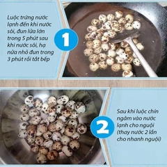 Máy bóc vỏ trứng cút quay tay năng suất 15kg/1h