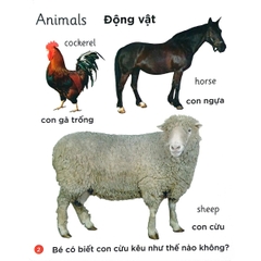 Song Ngữ Anh Việt - Cuốn Sách Đầu Tiên Của Tớ Về: Farm – Nông trại
