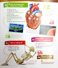 Thế Nào Và Tại Sao: Cơ Thể Người - Tuyệt Tác Của Tạo Hoá ( Tái Bản )