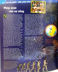 Thế Nào Và Tại Sao: Cơ Thể Người - Tuyệt Tác Của Tạo Hoá ( Tái Bản )