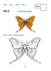 Bé Tô Màu Và Làm Quen Với Môi Trường - Côn Trùng