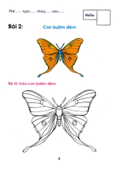 Bé Tô Màu Và Làm Quen Với Môi Trường - Côn Trùng