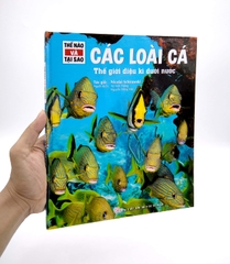Thế Nào Và Tại Sao - Các Loài Cá - Thế Giới Diệu Kì Dưới Nước