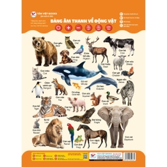 Combo 4 Bảng Âm Thanh: Số Đếm, Chữ Cái Tiếng Việt, Chữ Cái Tiếng Anh, Động Vật