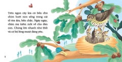 Bộ Hộp Truyện Ngụ Ngôn Aesop - Sách Thiếu Nhi - Gieo Mầm Nhân Cách
