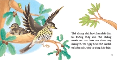 Bộ Hộp Truyện Ngụ Ngôn Aesop - Sách Thiếu Nhi - Gieo Mầm Nhân Cách
